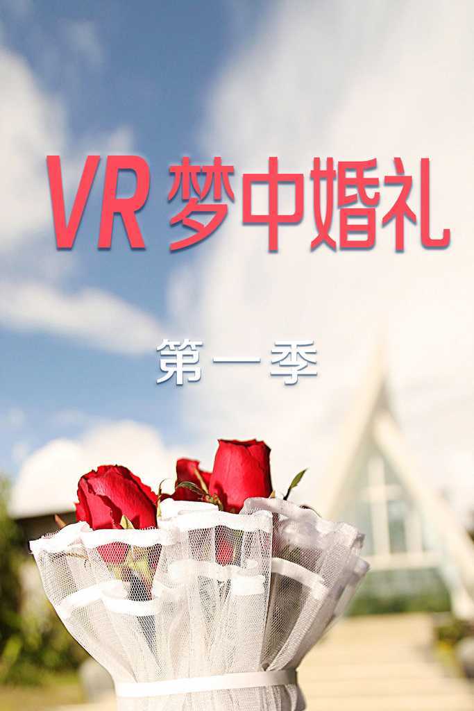 VR梦中婚礼 第一季 第01期