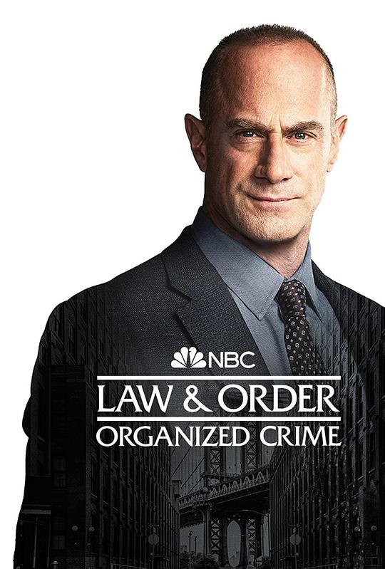 法律与秩序：组织犯罪 第三季 第08集