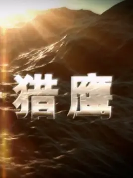 代号猎鹰 第05集