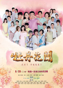 牡丹花开 第08集