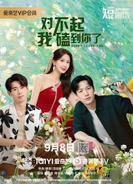 对不起，我磕到你了