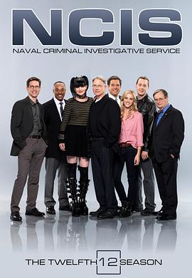 海军罪案调查处第十二季 第11集
