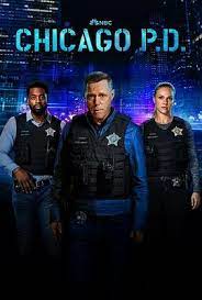 芝加哥警署 第十一季 第11集