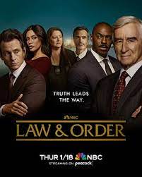 法律与秩序 第二十三季 第08集