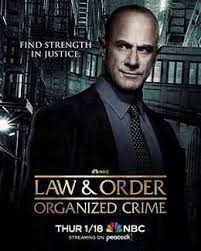 法律与秩序：组织犯罪 第四季 第05集