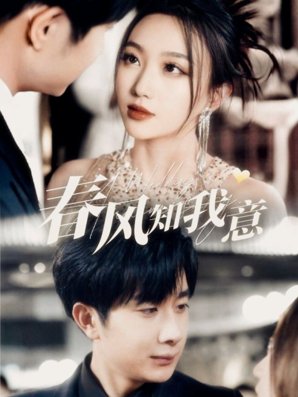 春风知我意 第31-60集