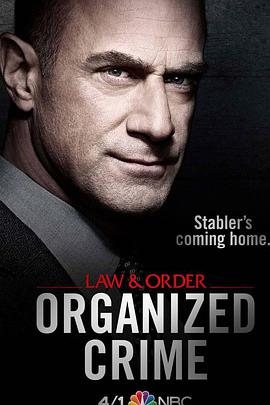 法律与秩序：组织犯罪 第一季(全集)